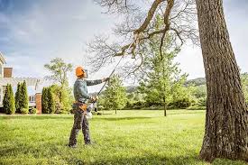 Tree and Shrub Care in Eagle Crest, OR