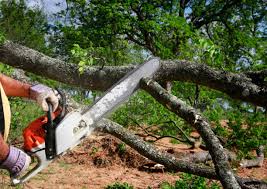 Best Tree Risk Assessment  in Eagle Crest, OR