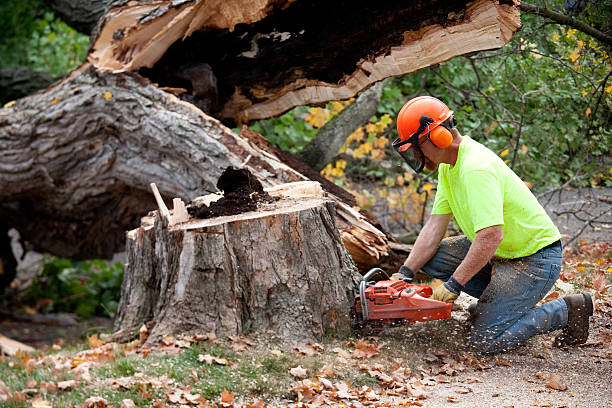 Best Soil Testing and Treatment  in Eagle Crest, OR